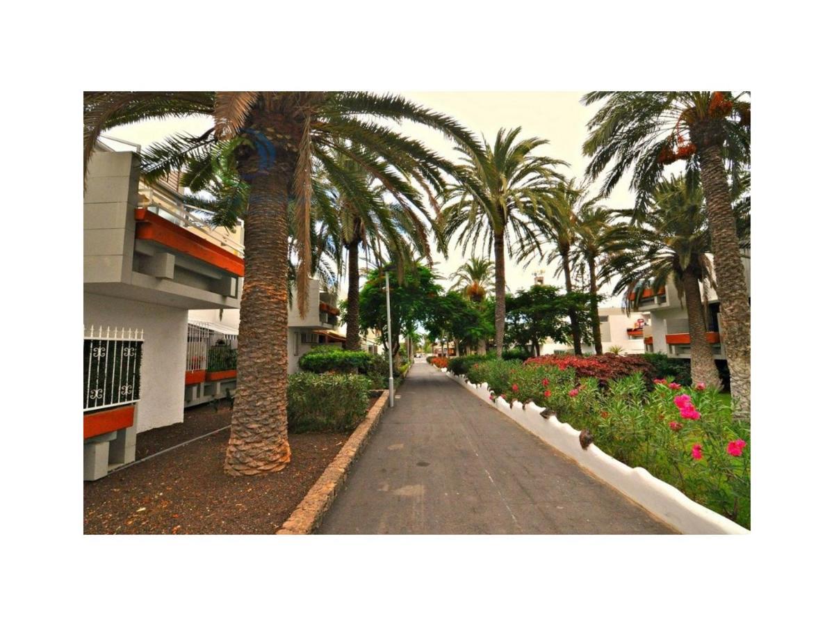 Apartamento Primavera Costa Del Silencio Exteriör bild